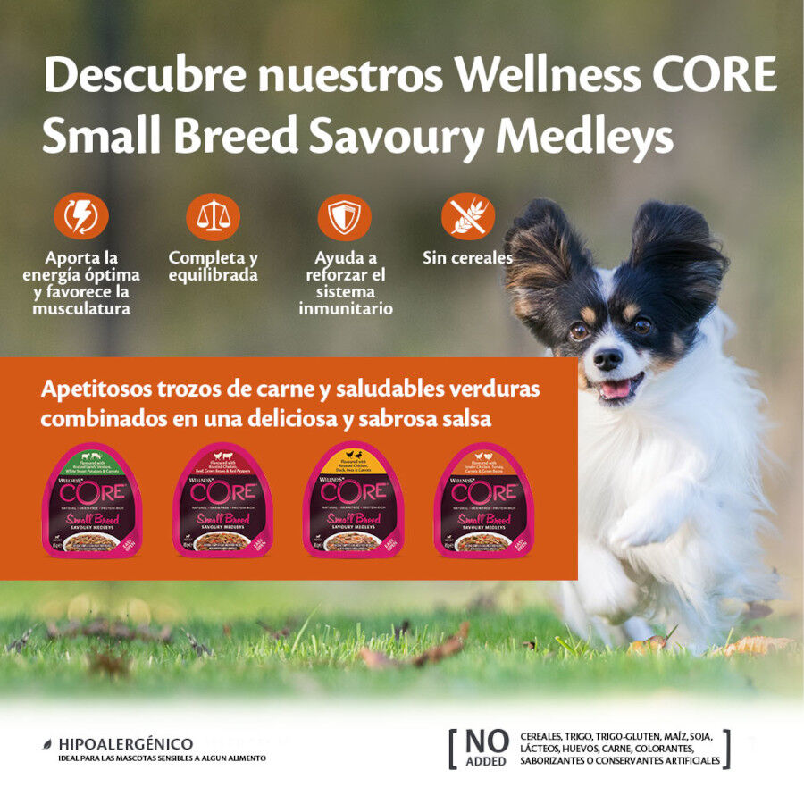 Wellness Core Small Breed Grain Free Frango e Peru Terrina para cães, , large image number null